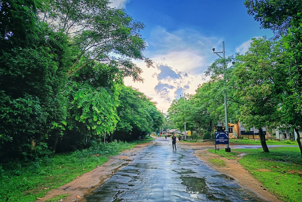 a man walking down a wet road in the middle of a forest