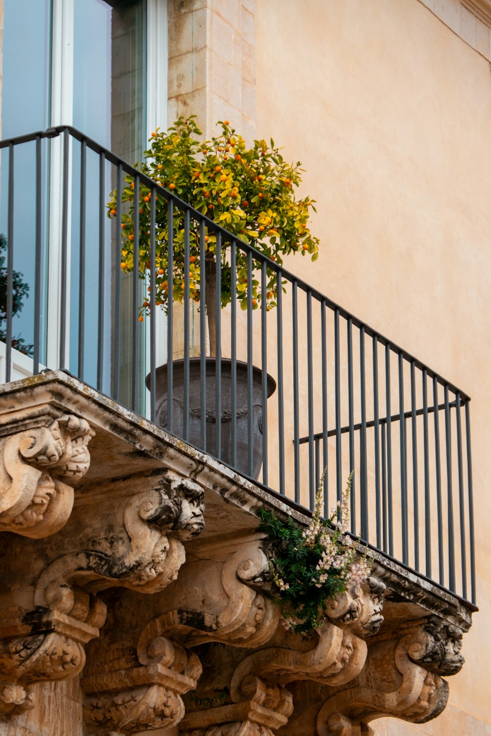 a balcony with a potted plant on it