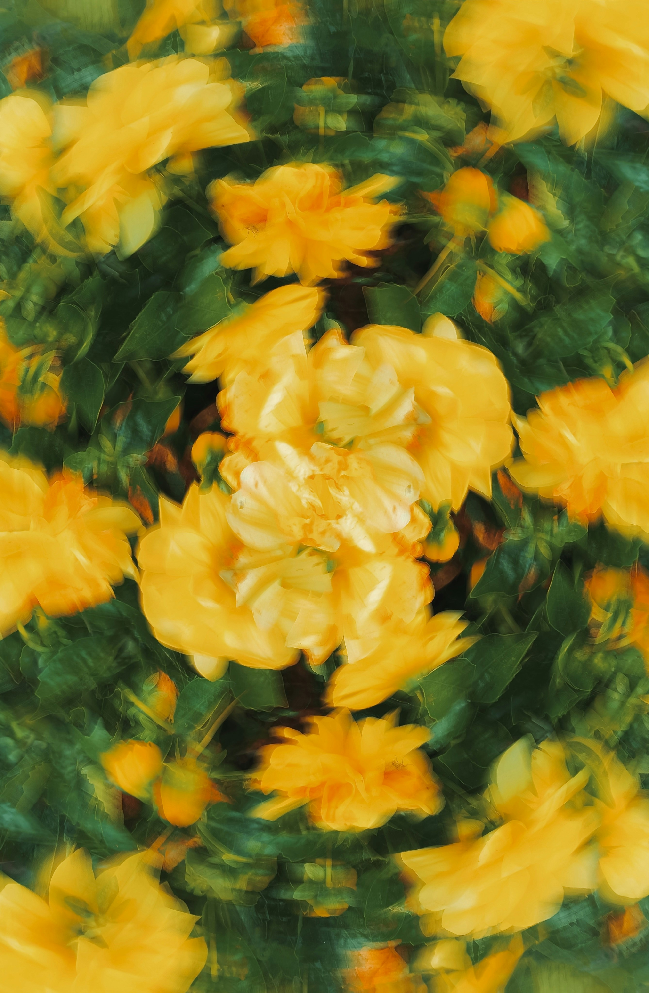 Photo by eugene_golovesov