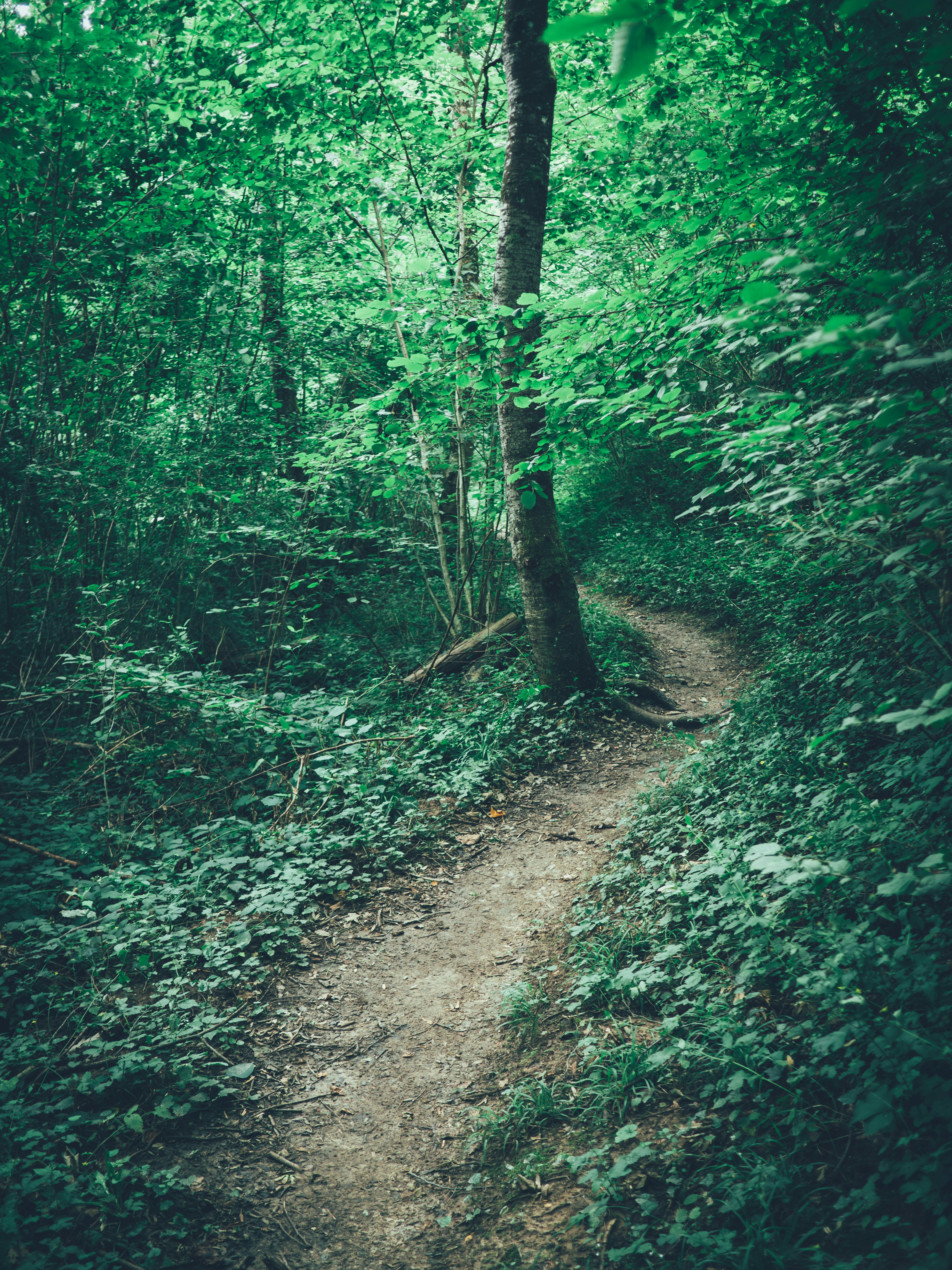 Photo by gregwillson