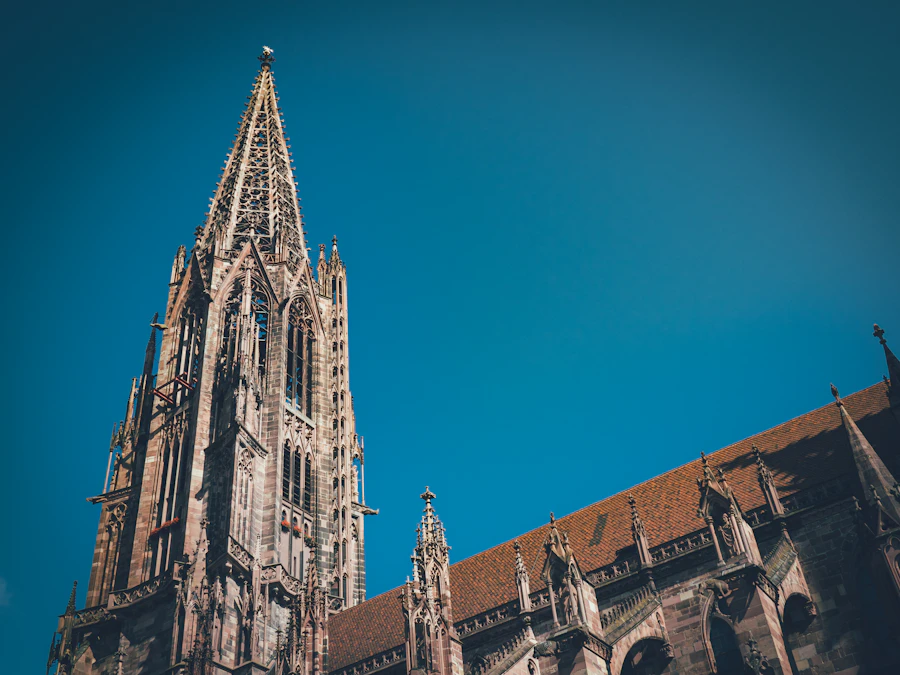 Freiburger Münster