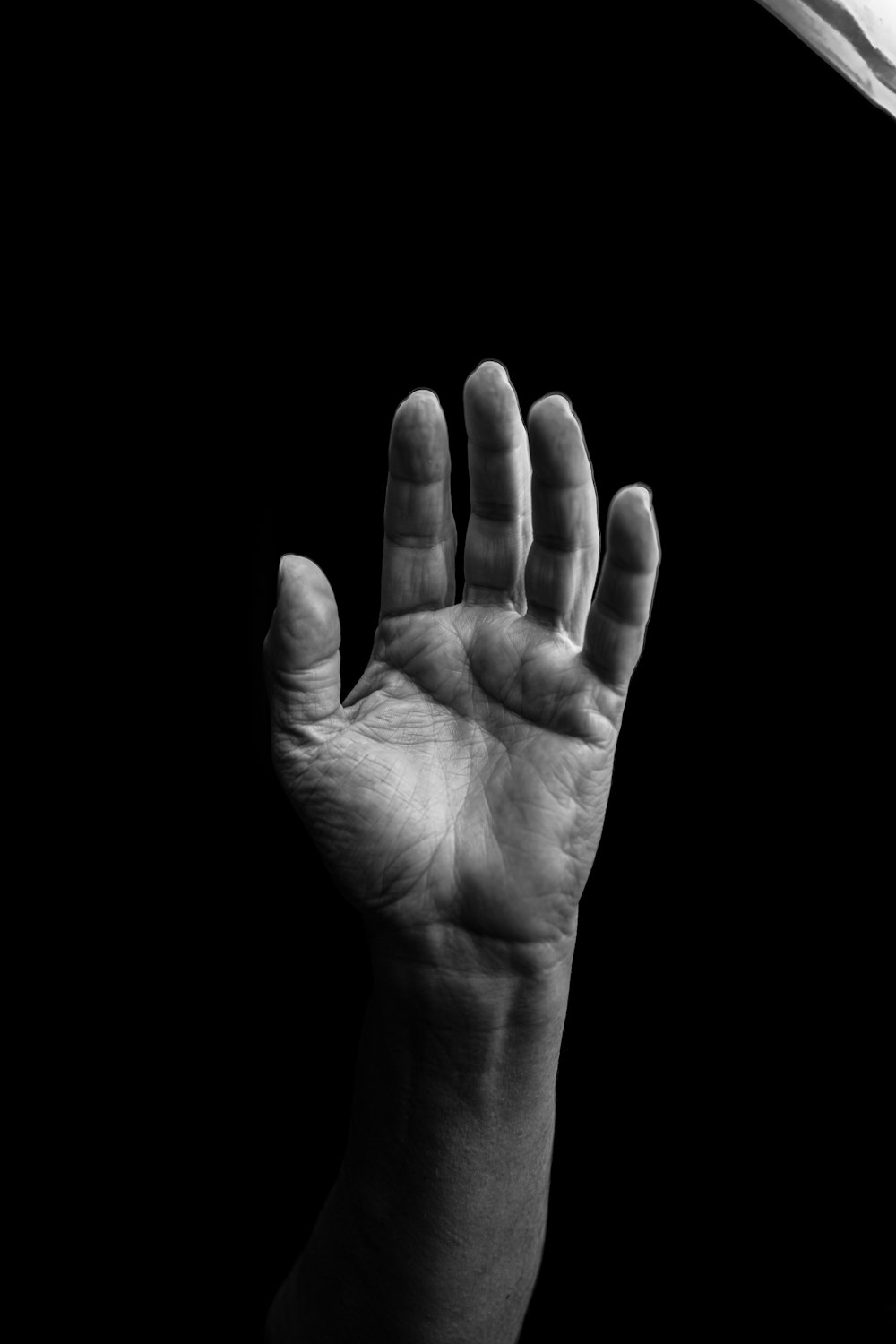 a black and white photo of a person's hand
