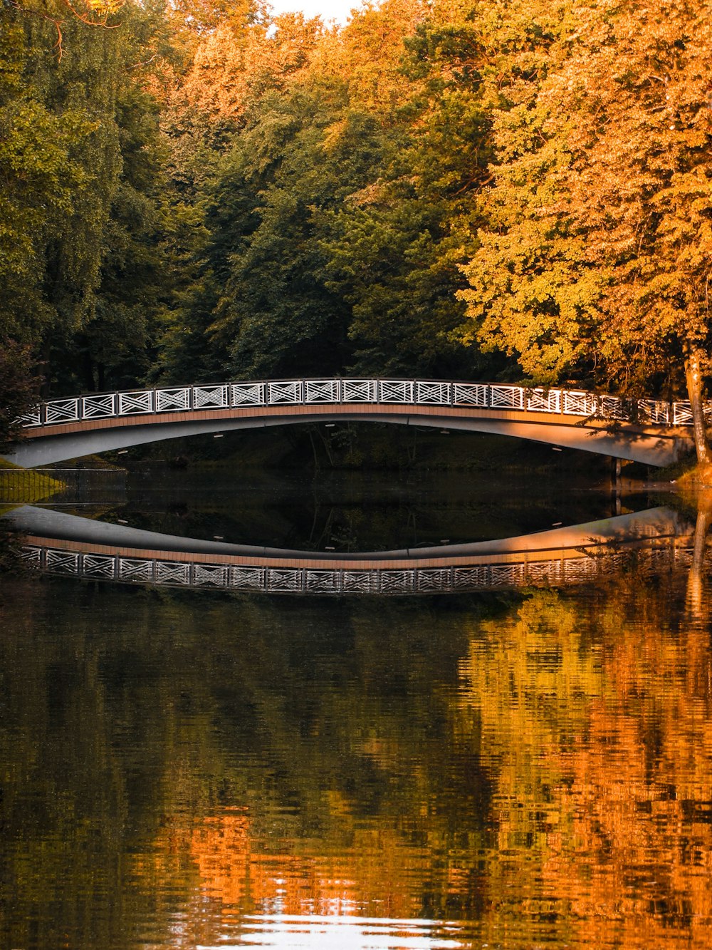 un pont au-dessus d’un plan d’eau entouré d’arbres