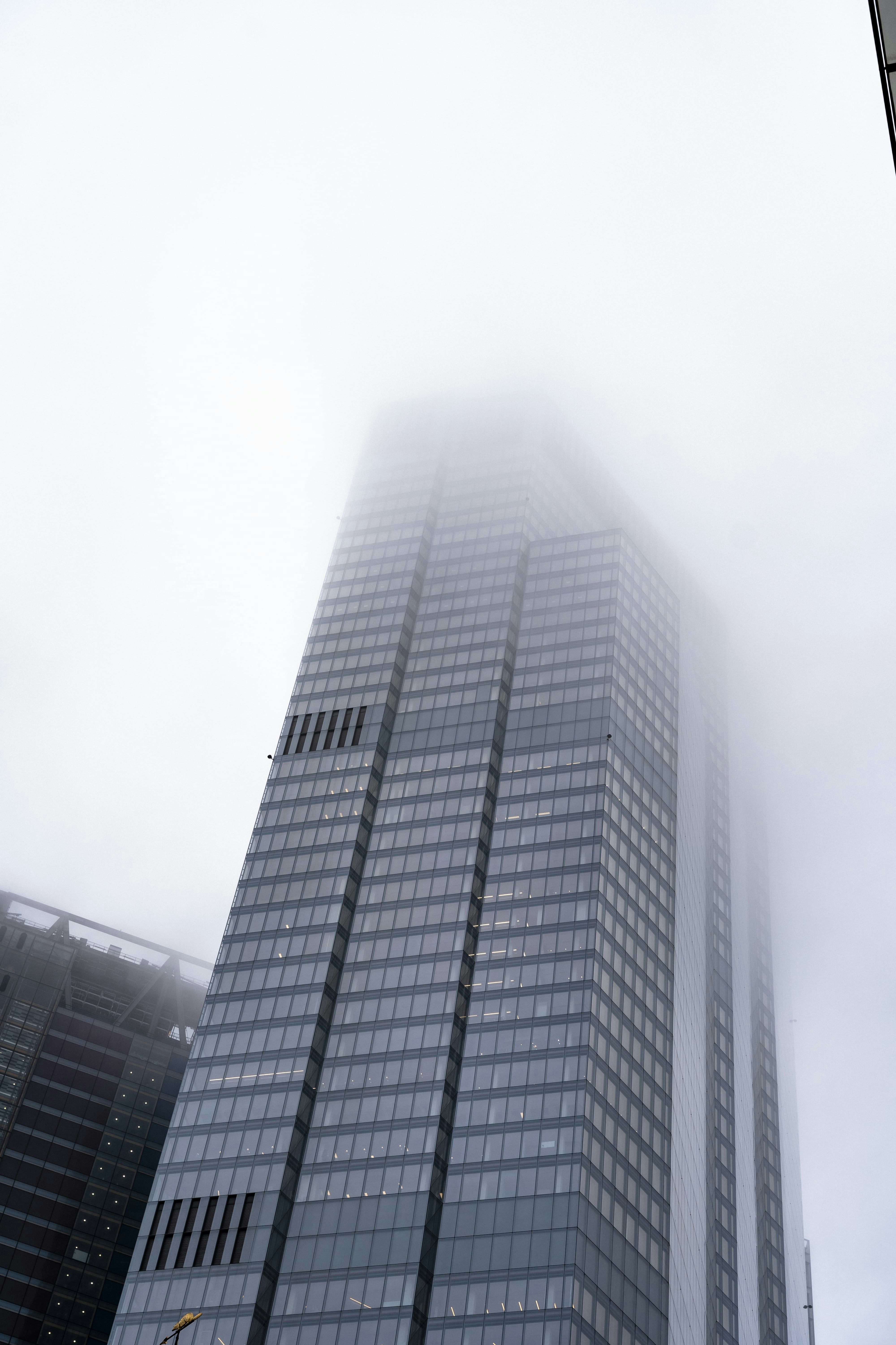 Photo by nicolaripepi