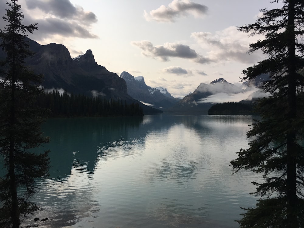 a body of water surrounded by trees and mountains