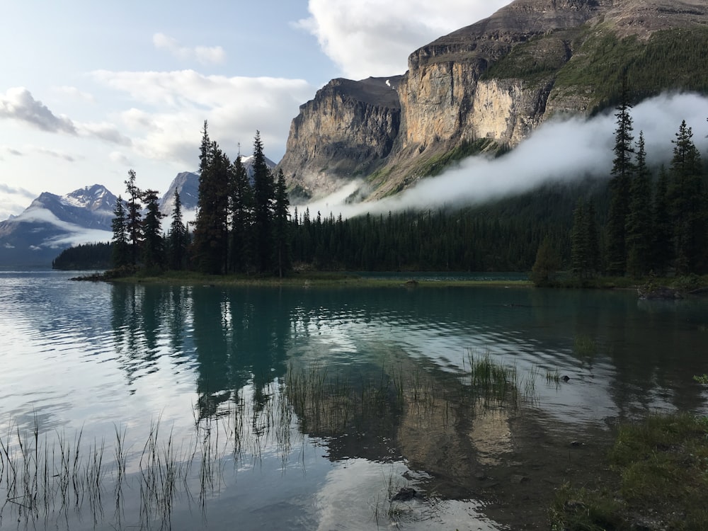 a body of water surrounded by mountains and trees