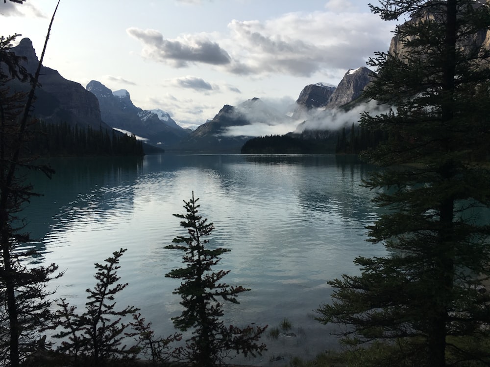 a body of water surrounded by trees and mountains