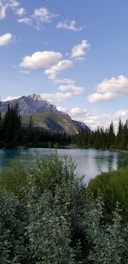 A serene landscape showcasing clean water and lush greenery under a clear blue sky.