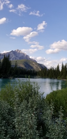 A serene landscape featuring a clear, flowing river surrounded by lush greenery.