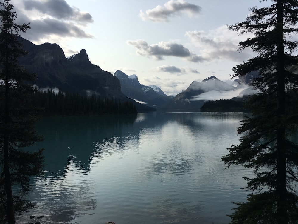 a body of water surrounded by trees and mountains