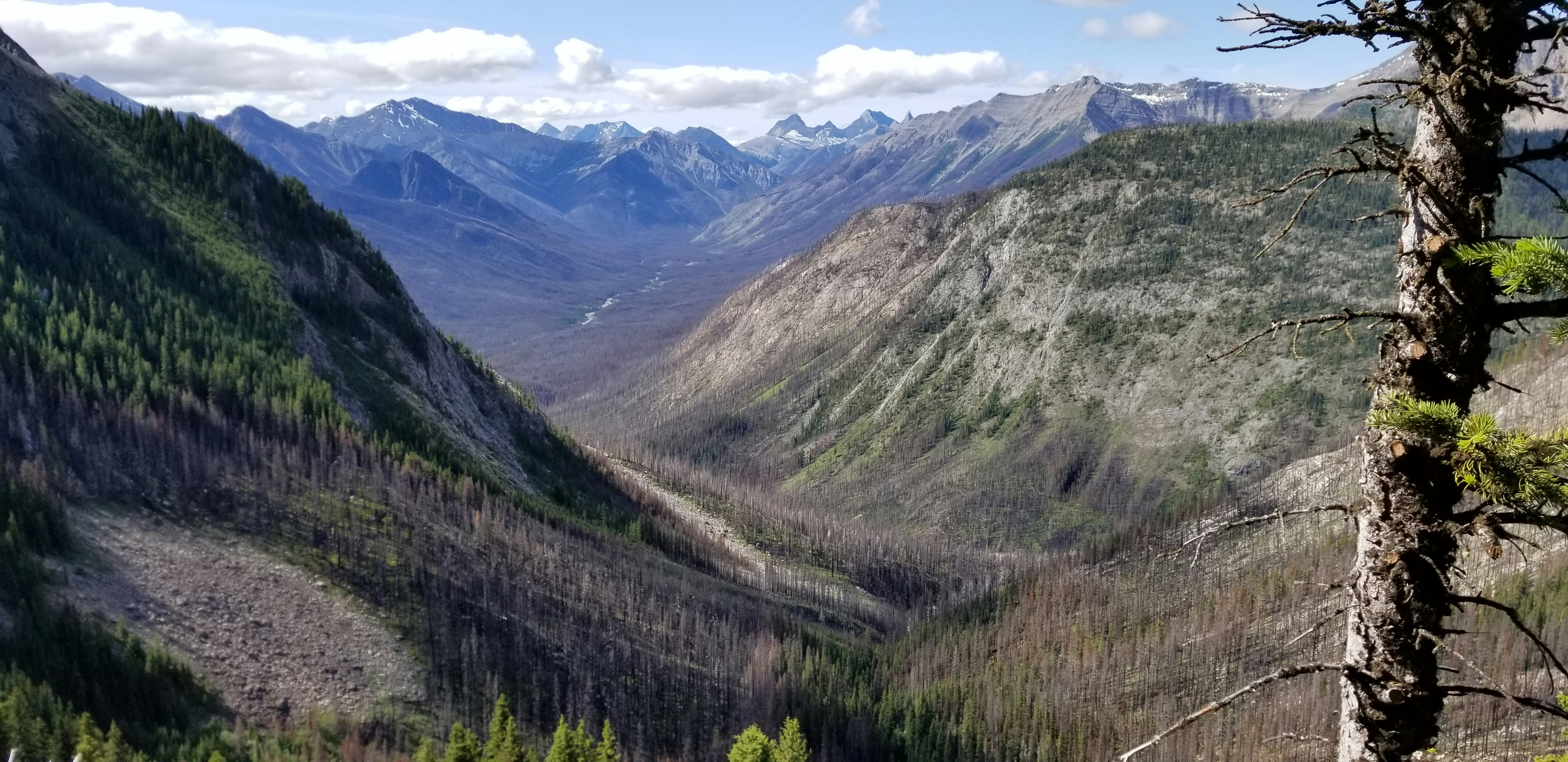 a view of a valley with mountains in the background