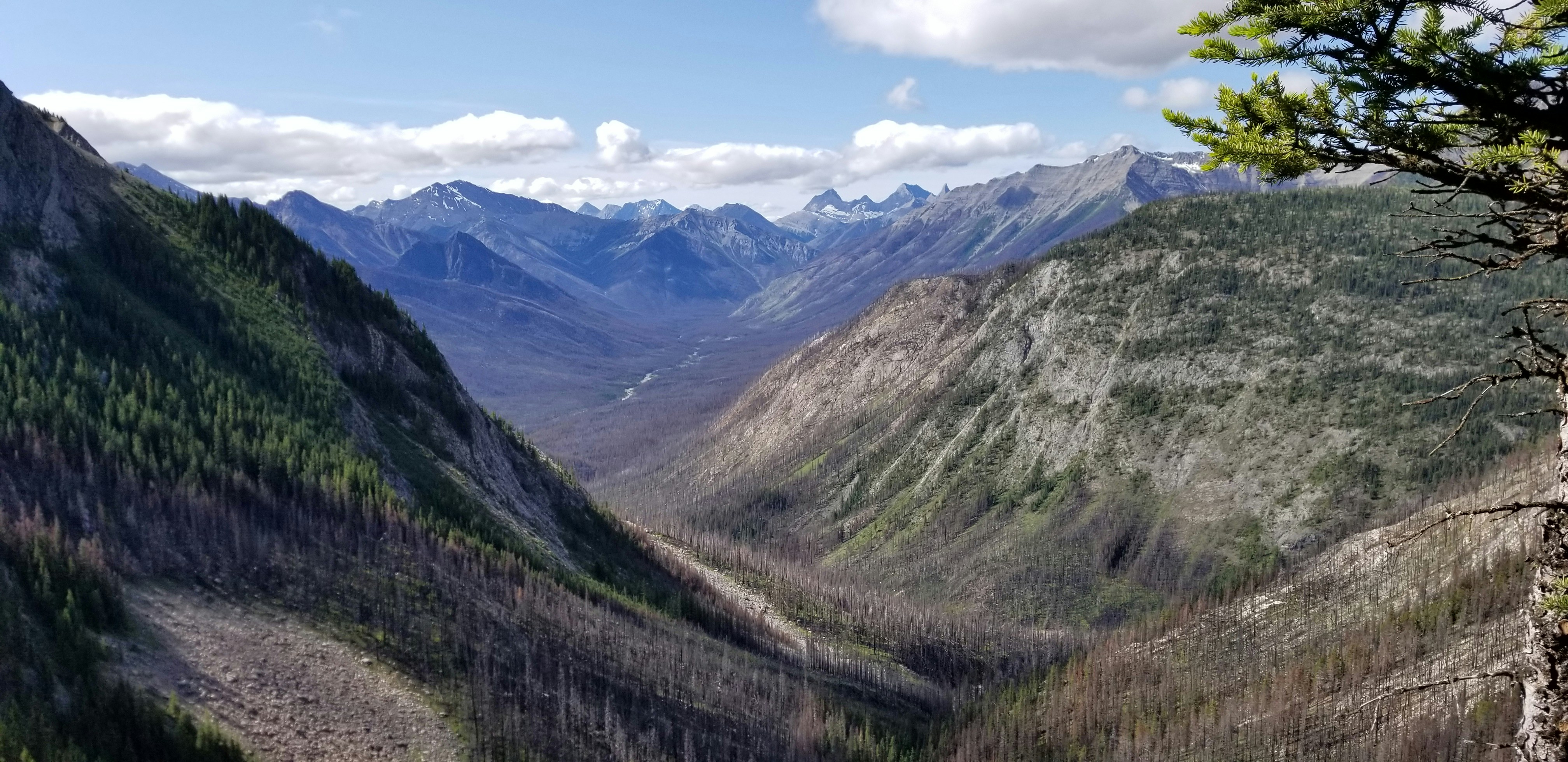 a view of a valley with mountains in the background
