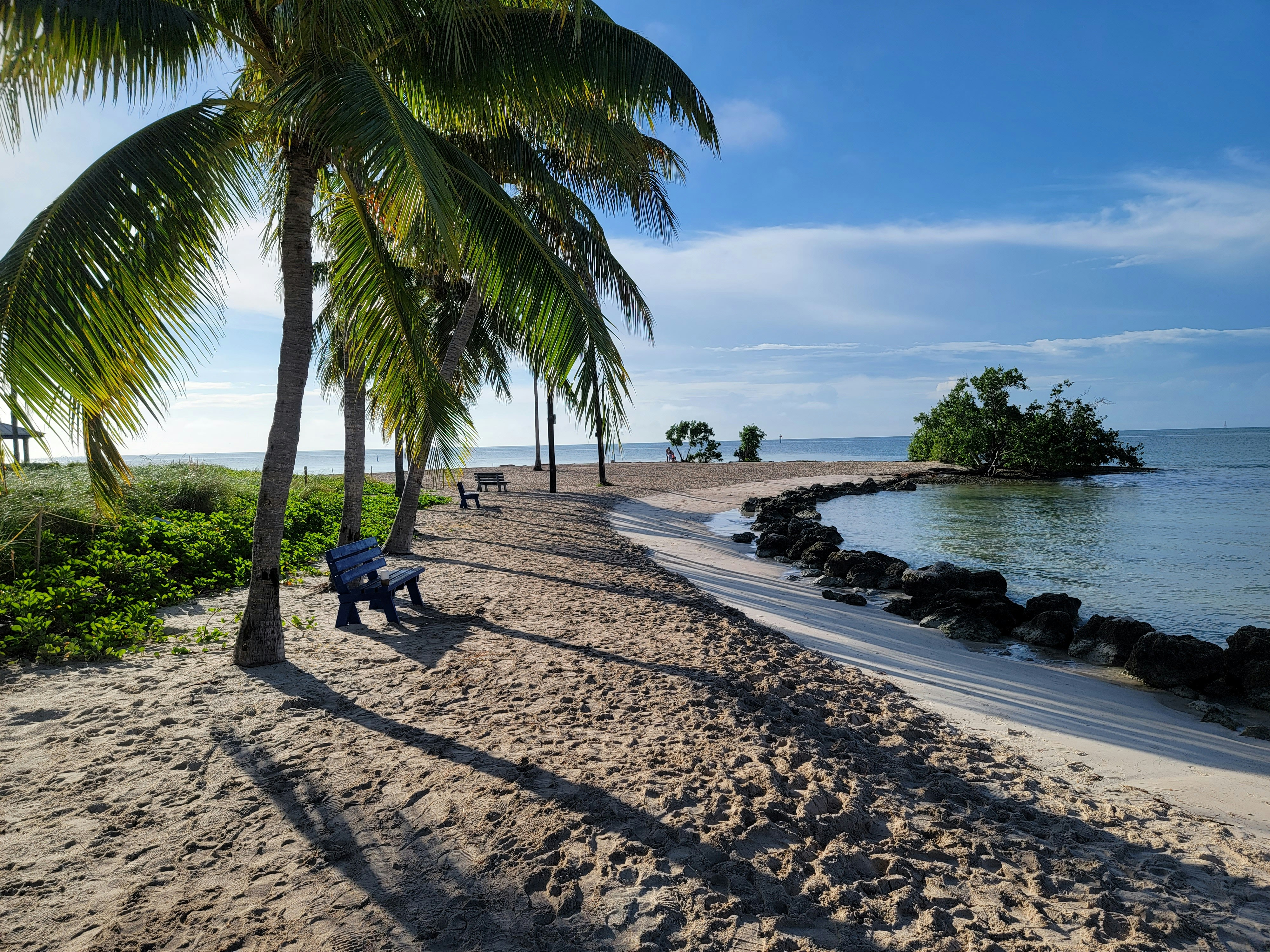 a person sitting on a bench under a palm tree, 