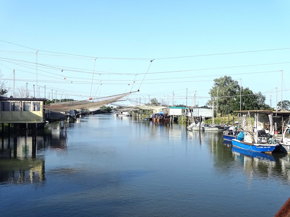 a body of water that has a bunch of boats in it