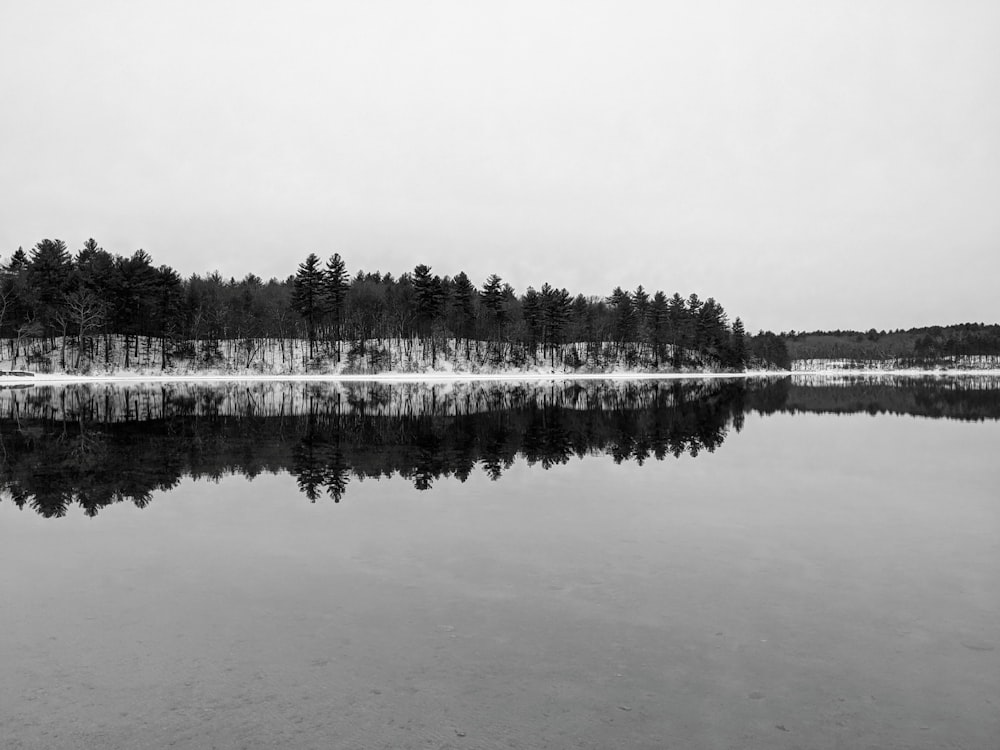 a black and white photo of a lake surrounded by trees