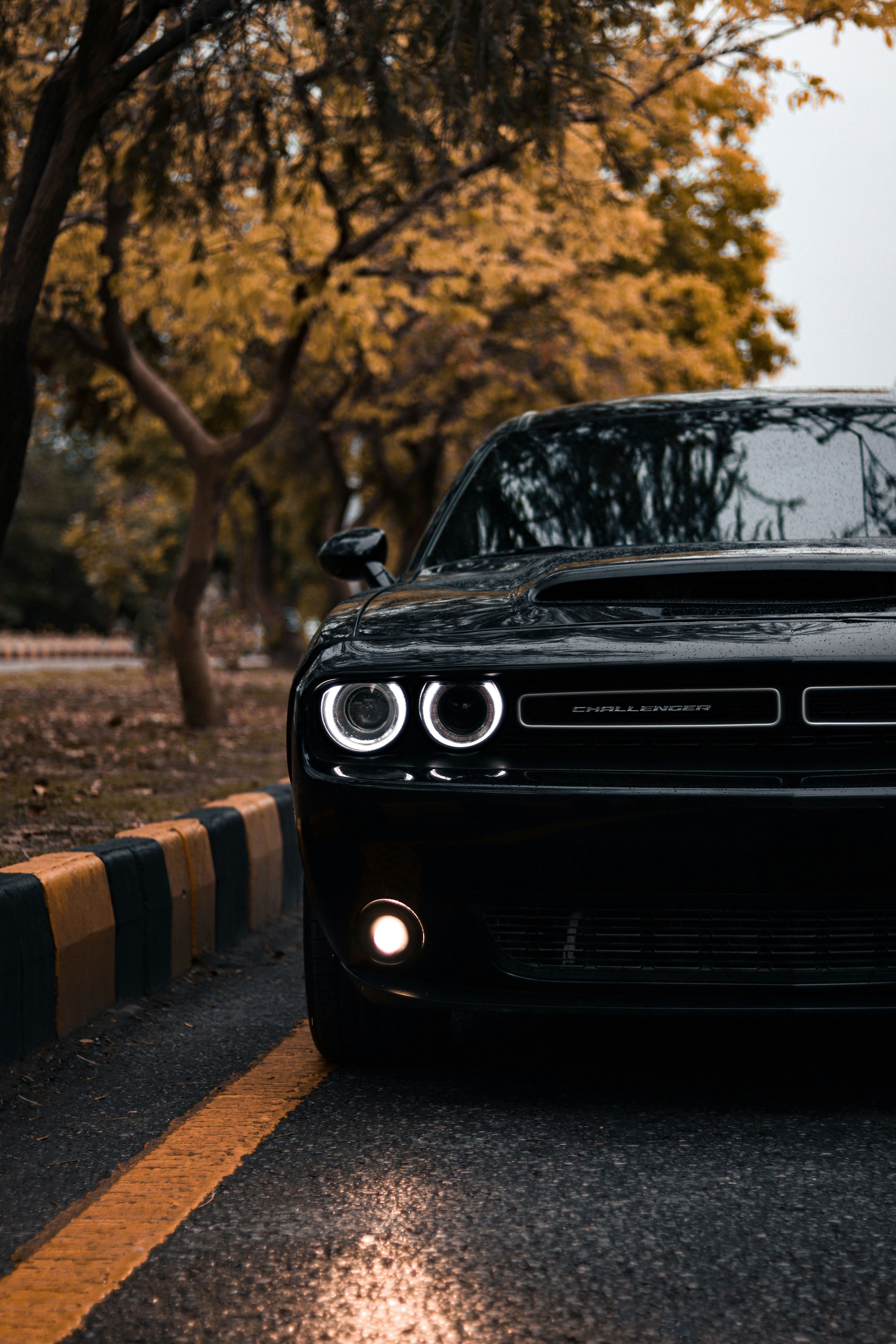 Photo by wallpaperbysaad