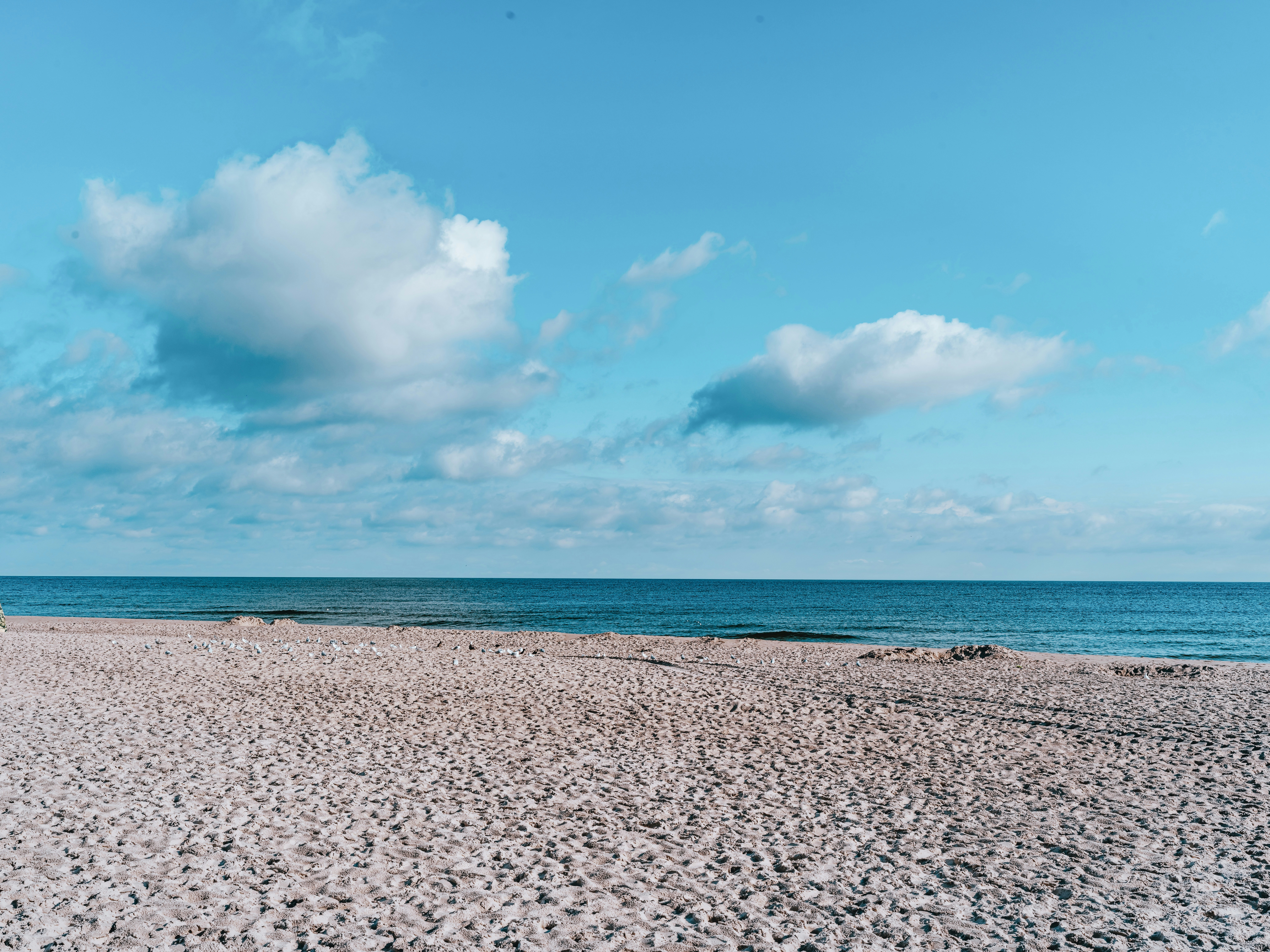 Photo by egorkomarov