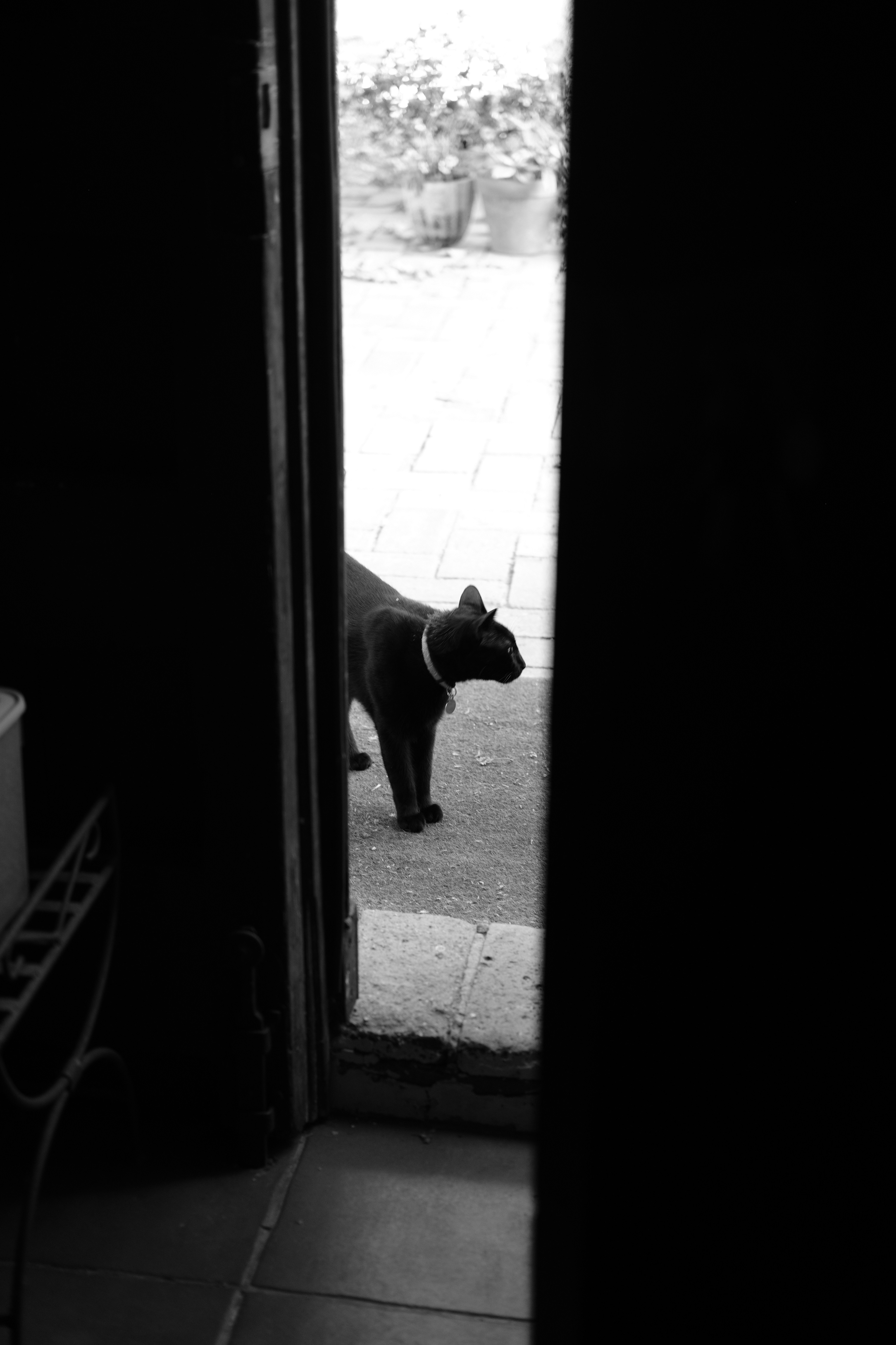 The Mystery of Closed Doors (image credits: unsplash)