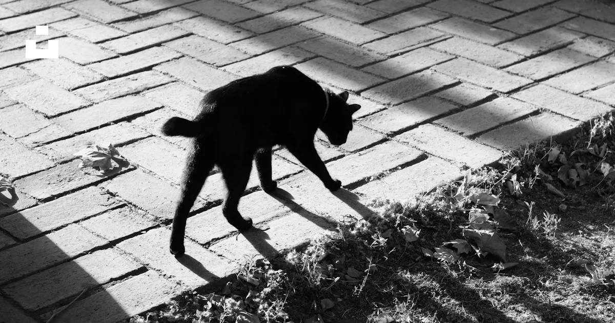 Chat De Jardin En Pierre Reconstituée - Ornemen Chat De Jardin En Pierre Reconstituée - Ornemen