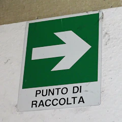 A sign with a green background and a large white arrow pointing to the right. Below the arrow, the text 'Punto di Raccolta' is printed in bold black letters. The sign is mounted on a textured white wall.