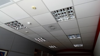 A grid-patterned ceiling with integrated metallic light fixtures, a smoke detector, and ventilation system. The ceiling panels are predominantly white, and the light fixtures consist of mirrored grids. Some ceiling tiles appear slightly darker due to shadowing.