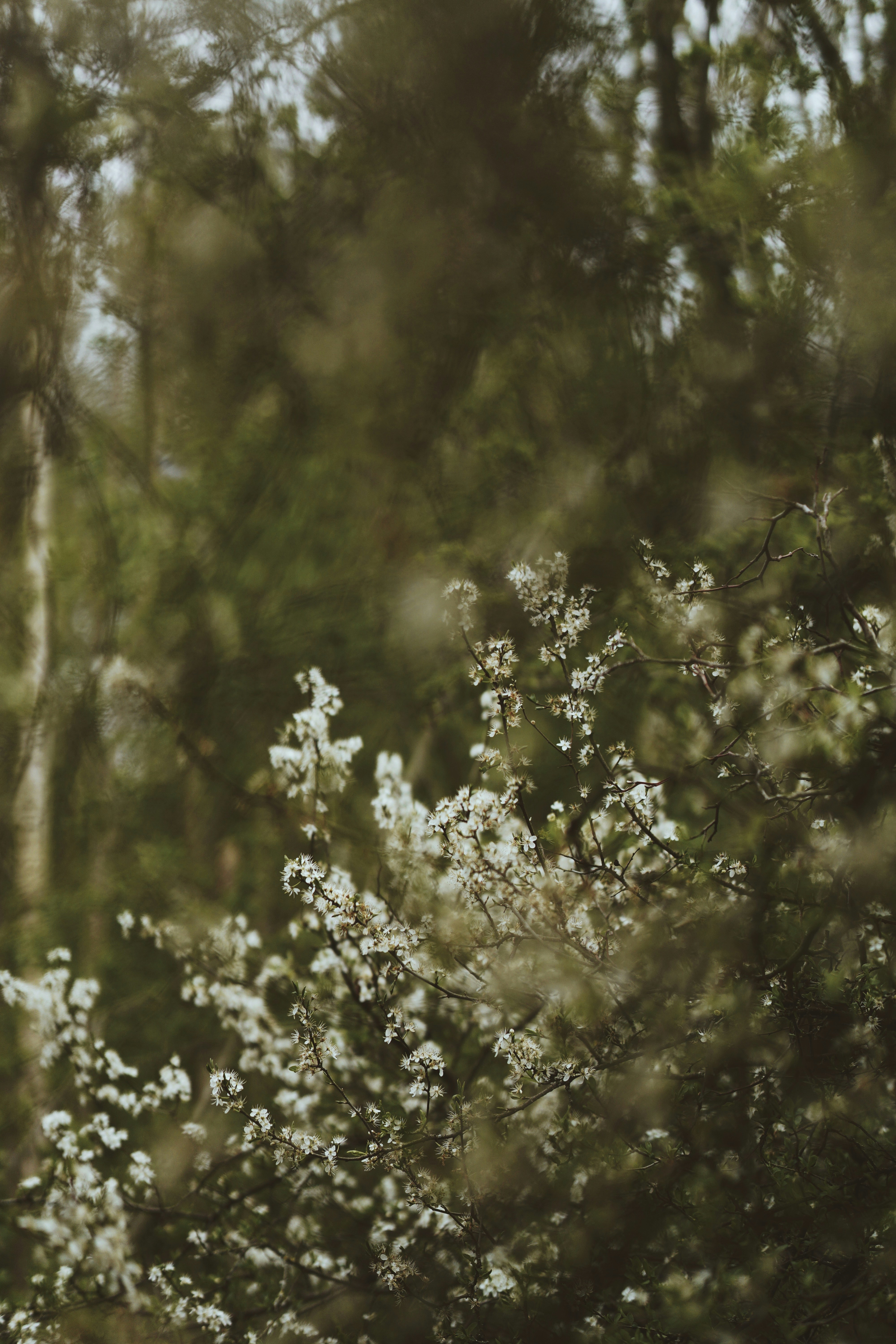 Photo by tayybahyasin