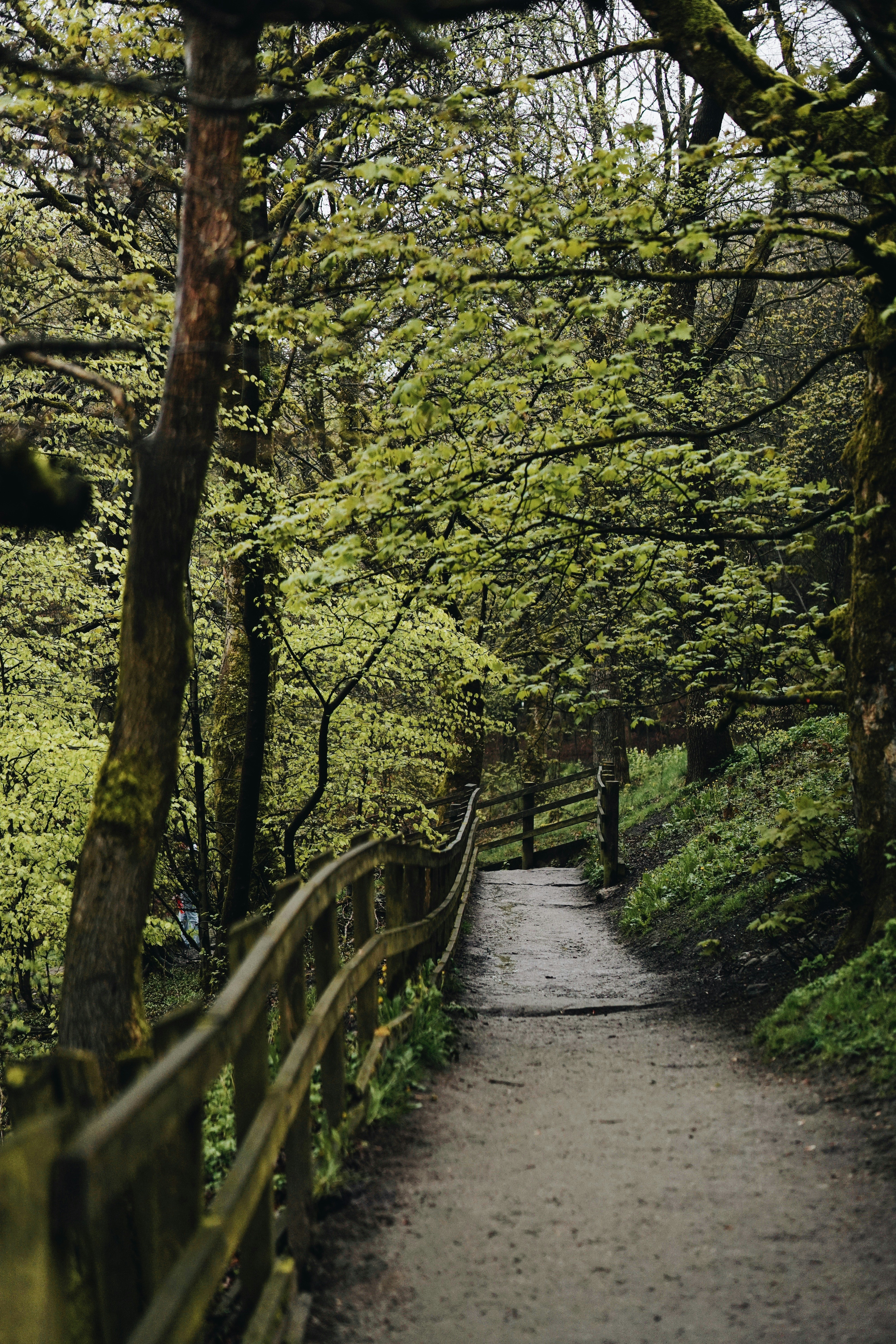 Photo by tayybahyasin