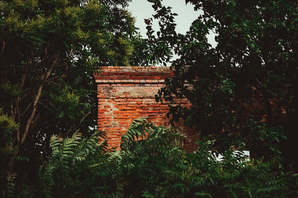 a brick wall surrounded by trees and foliage