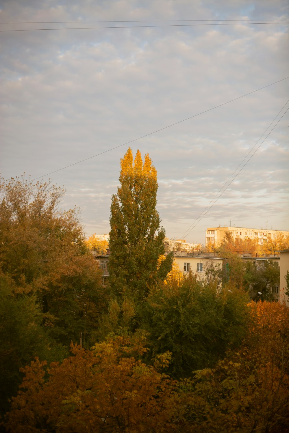 a view of a building from a distance with trees in the foreground