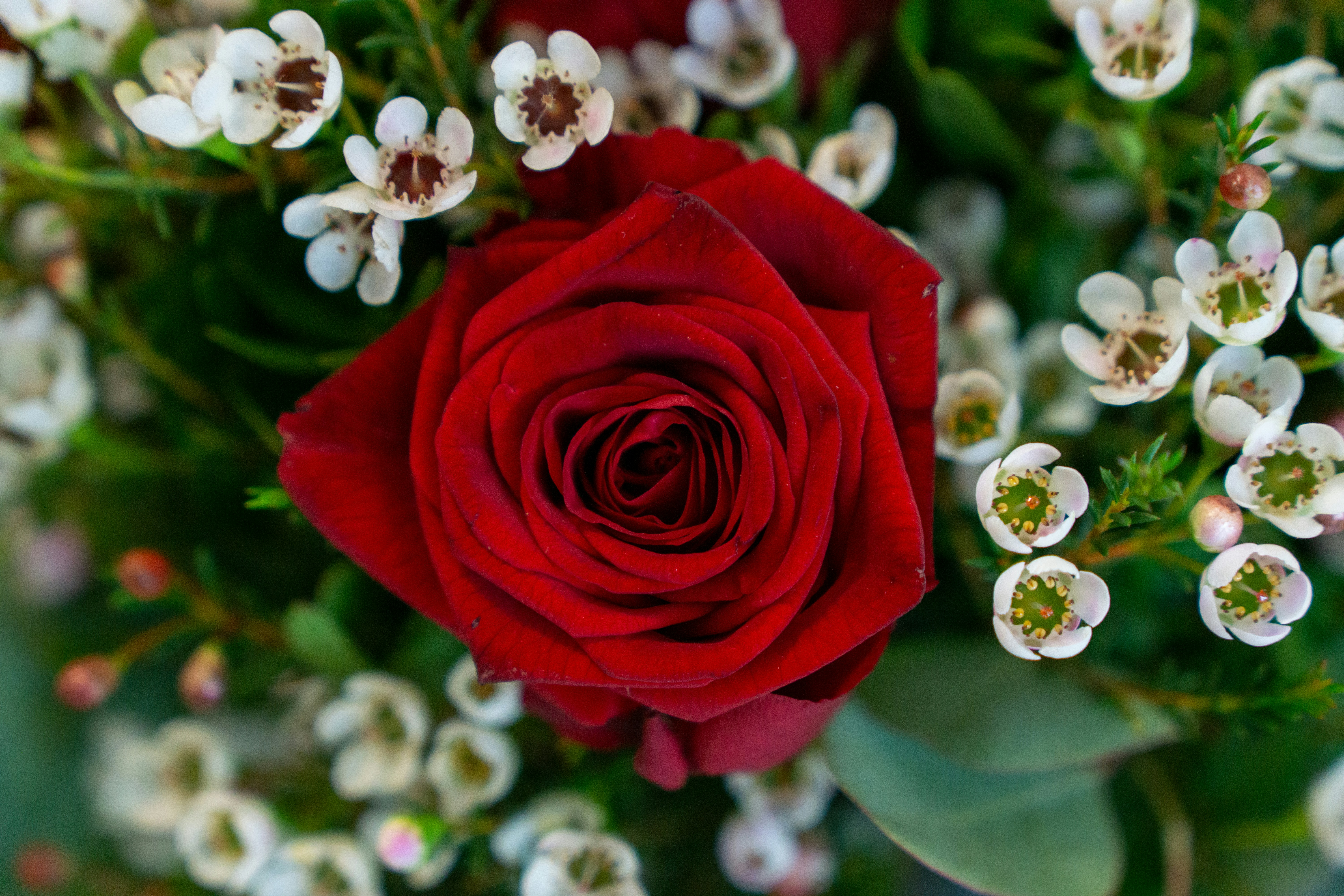 Photo by robertschwarz