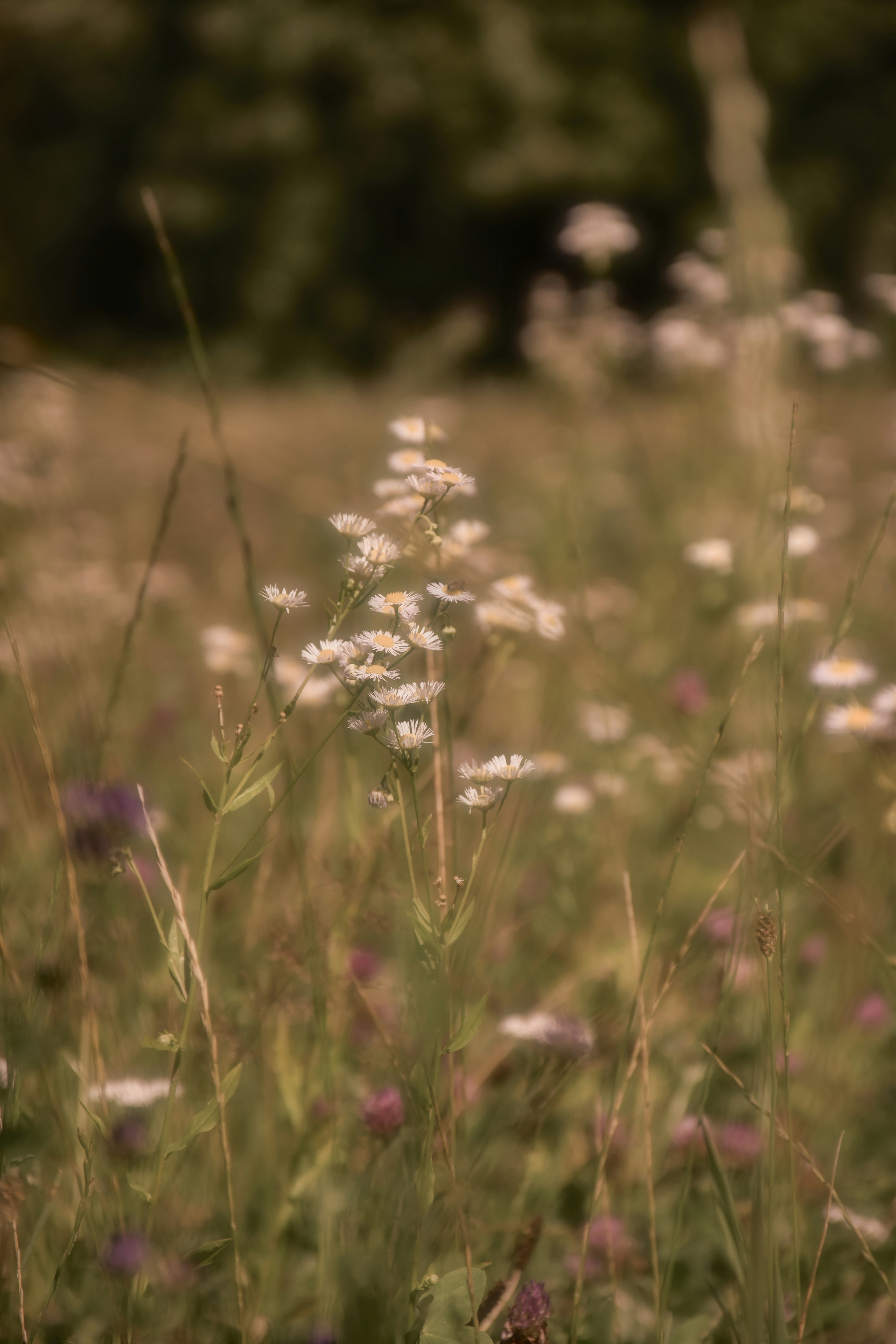 Photo by anastasiakopp