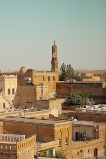 A historic cityscape featuring traditional Middle Eastern architecture with sandstone buildings, domes, and a prominent tower with intricate carvings. The foreground is filled with flat rooftops, satellite dishes, and a few trees, while the background reveals a vast, open landscape under a clear sky.