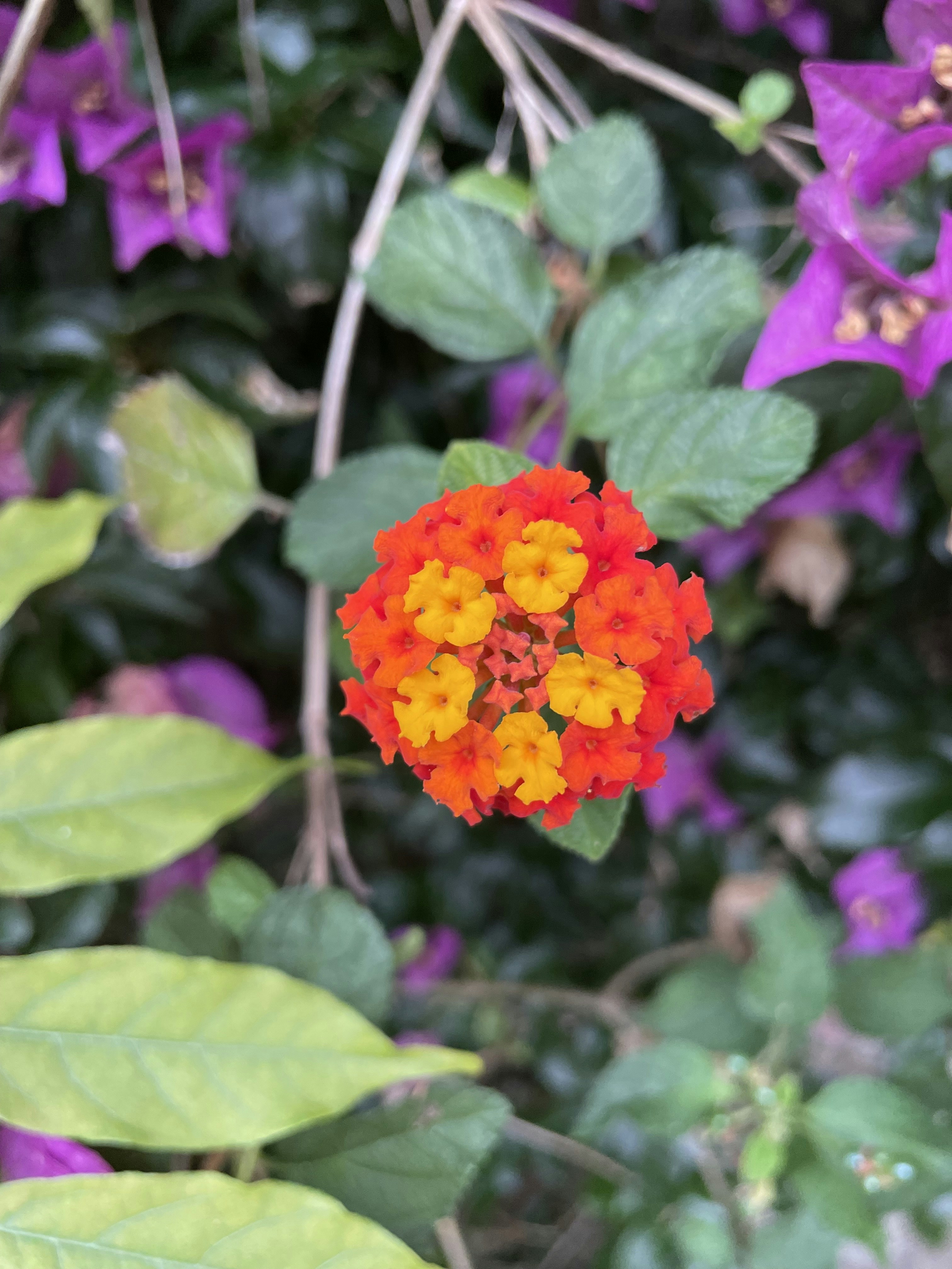 Photo by pacojarauta