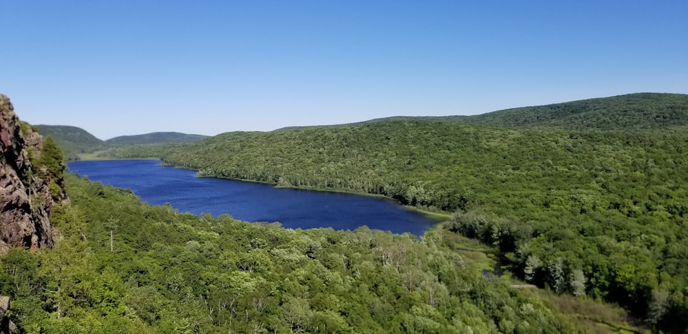 a large body of water surrounded by lush green trees