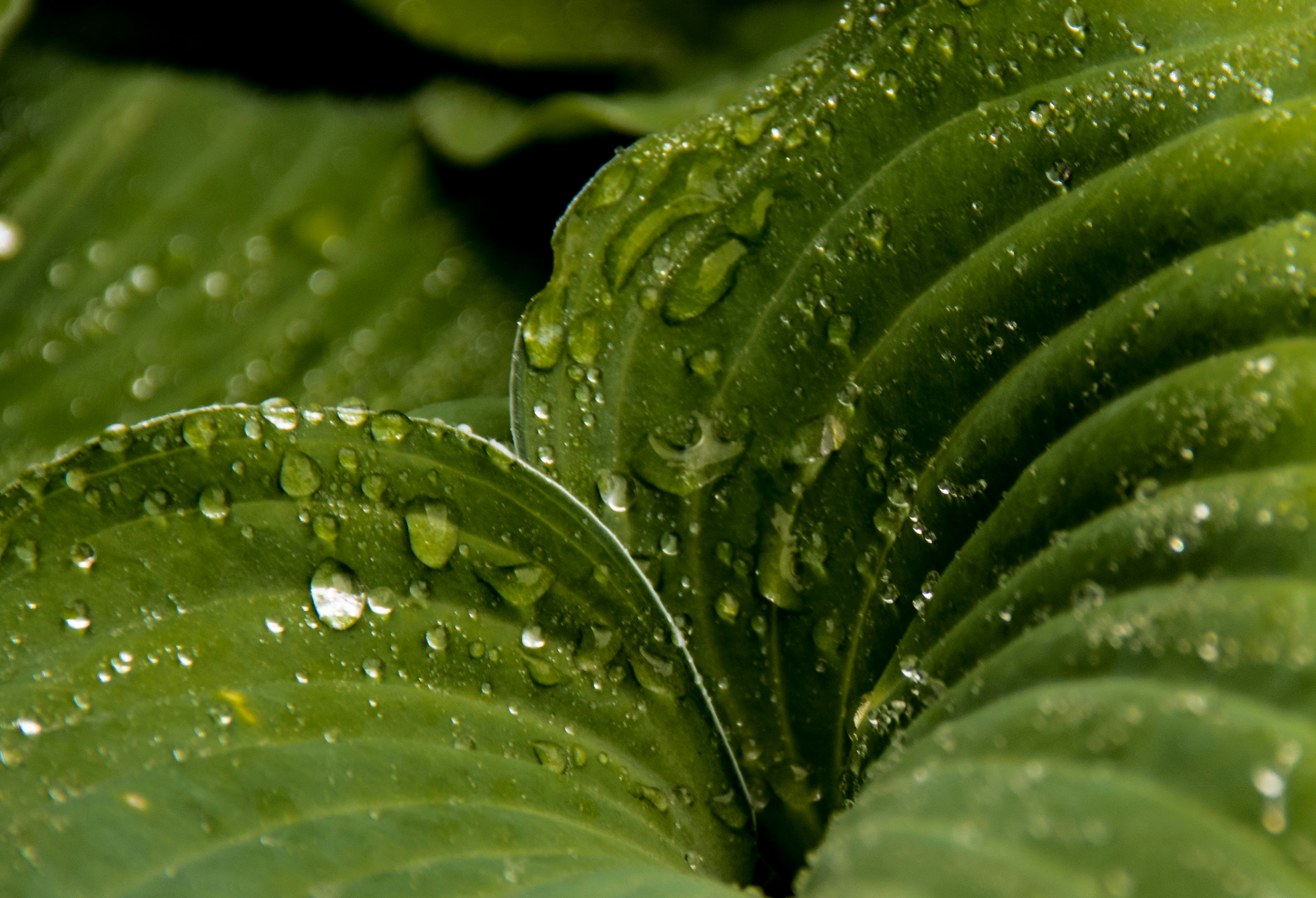 Photo by suzannemwalker