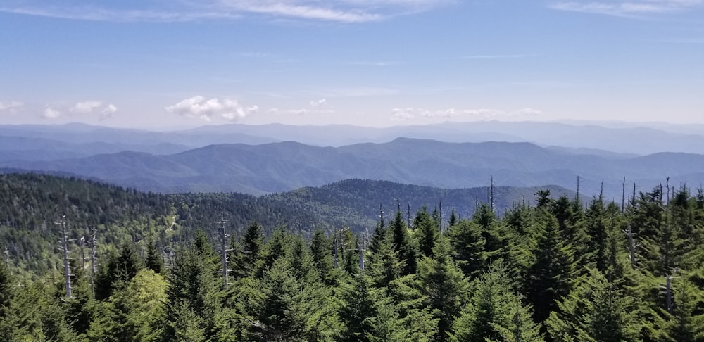 a view of the mountains and trees from the top of a hill