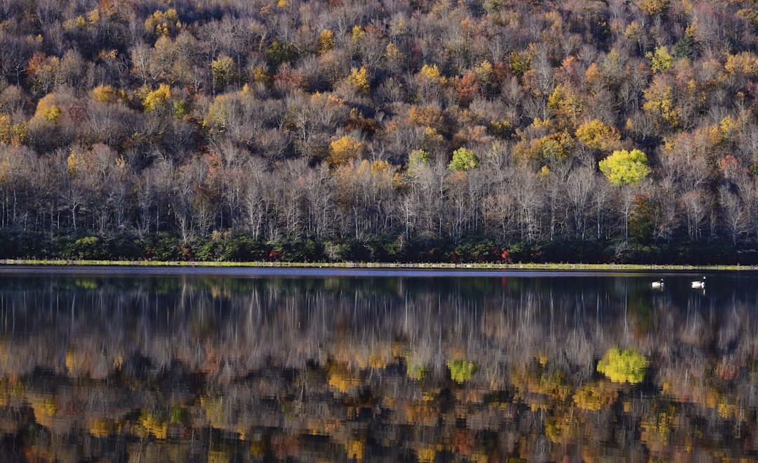 a large body of water surrounded by trees, Still water reflection at Big Boulder lake