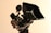 A professional video camera equipped with various accessories is shown. The camera is mounted on a stabilizing rig with a wooden handle, a microphone with a windscreen, and a matte box. The setup appears ready for high-quality video recording.