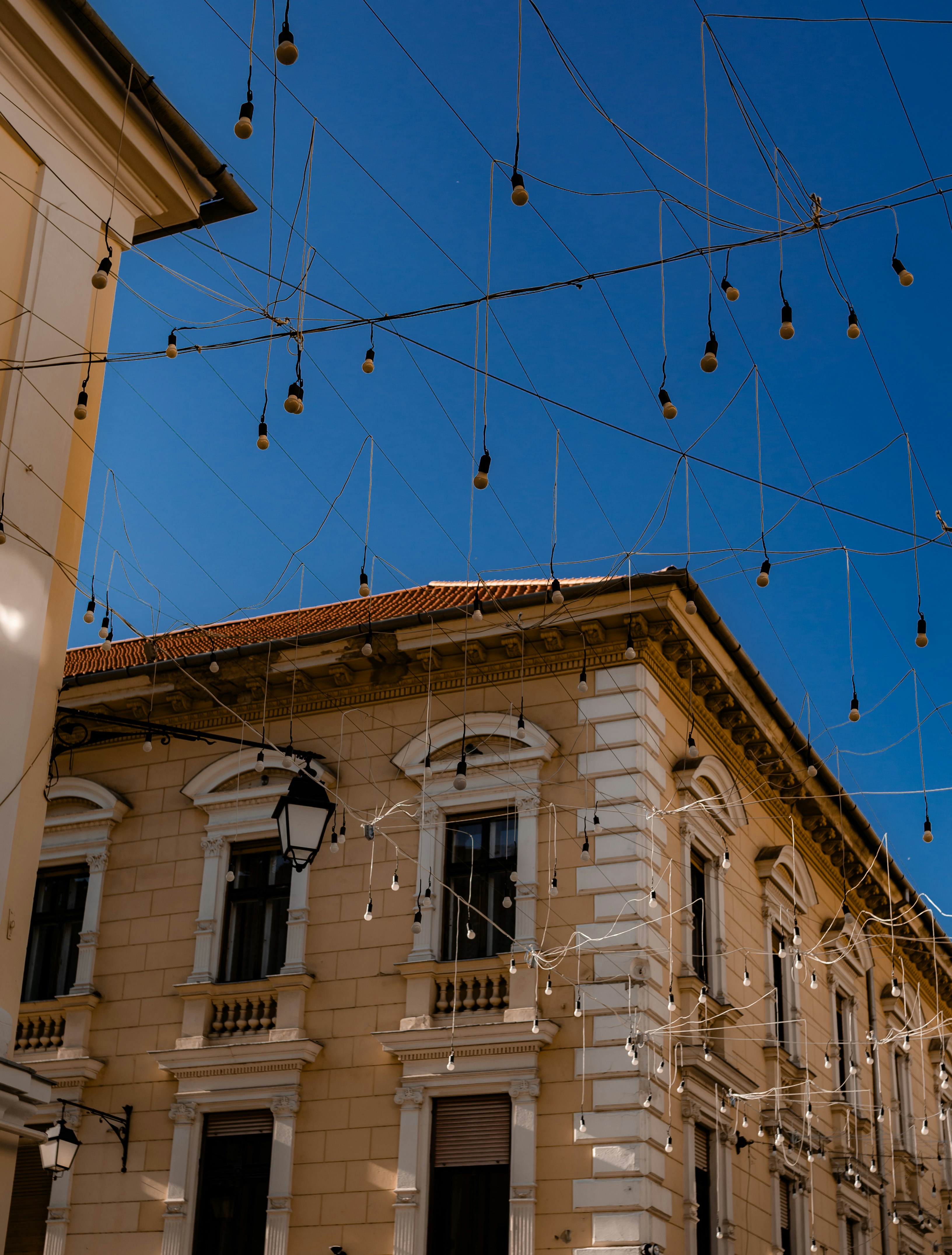 Photo by gamanalice3012