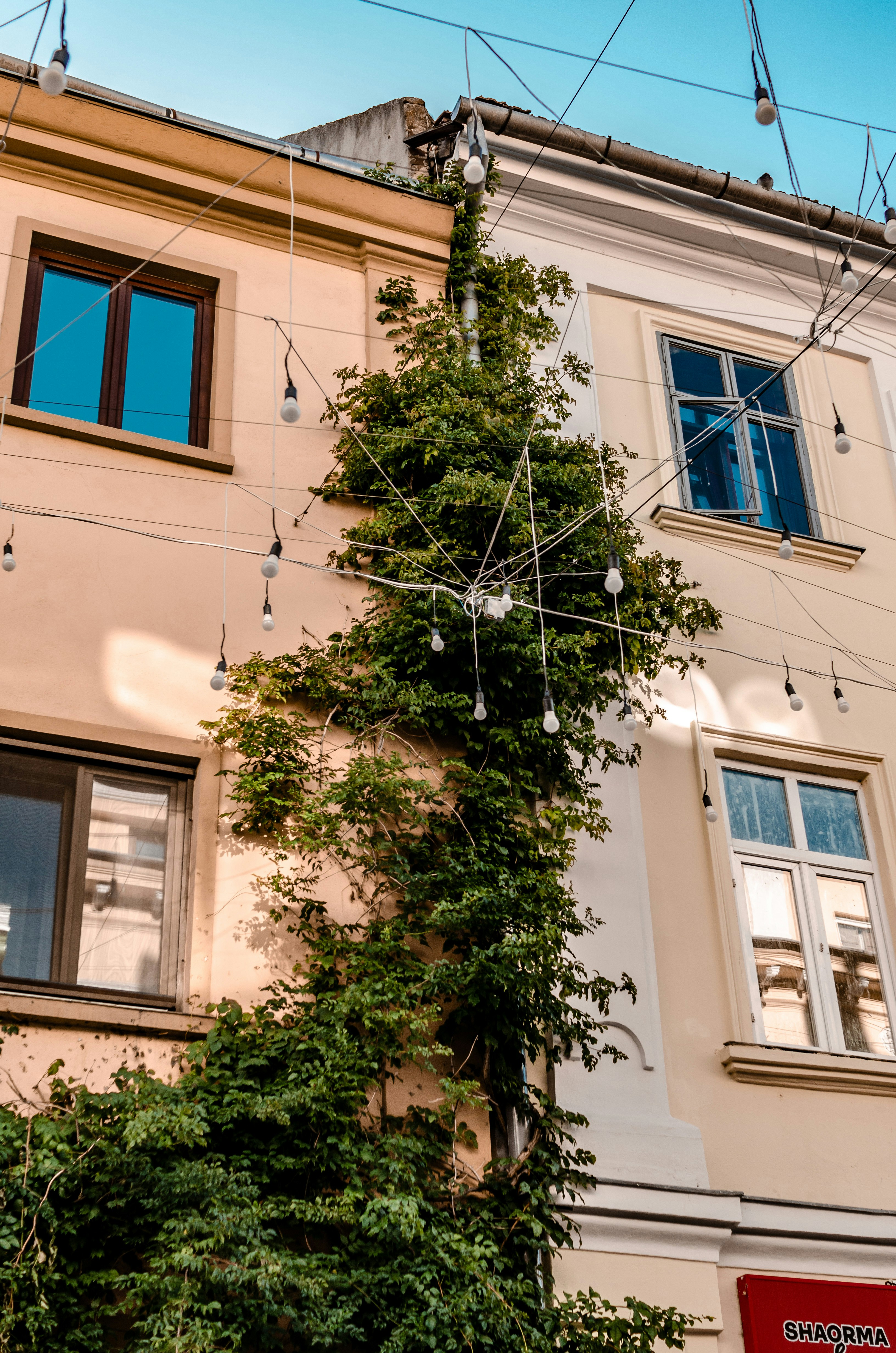 Photo by gamanalice3012