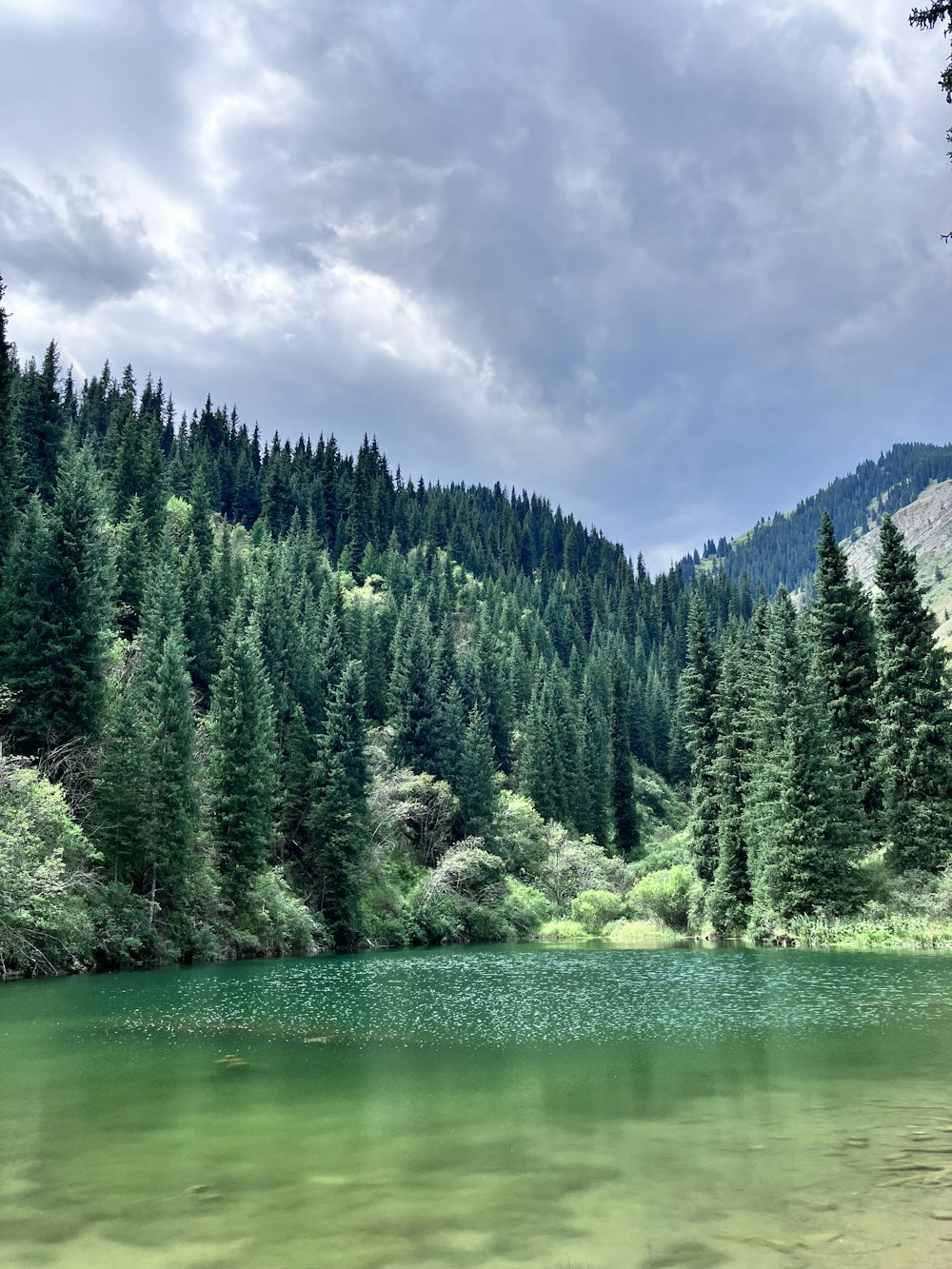 a lake surrounded by a forest under a cloudy sky