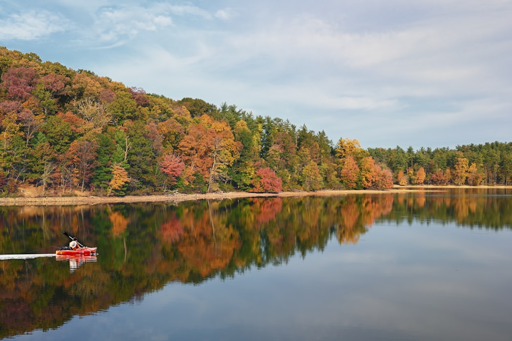 a person in a boat on a lake surrounded by trees