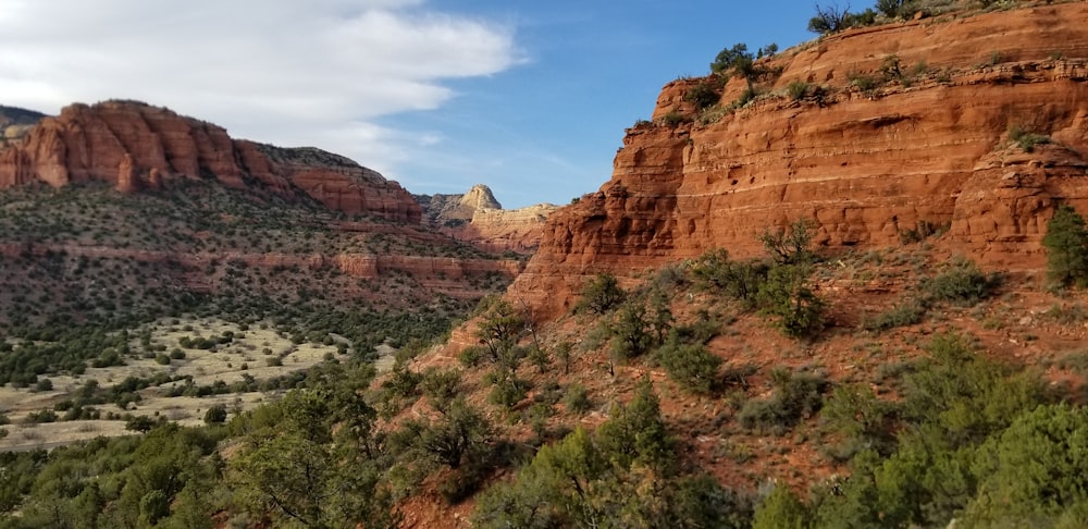 a scenic view of a canyon with a mountain in the background