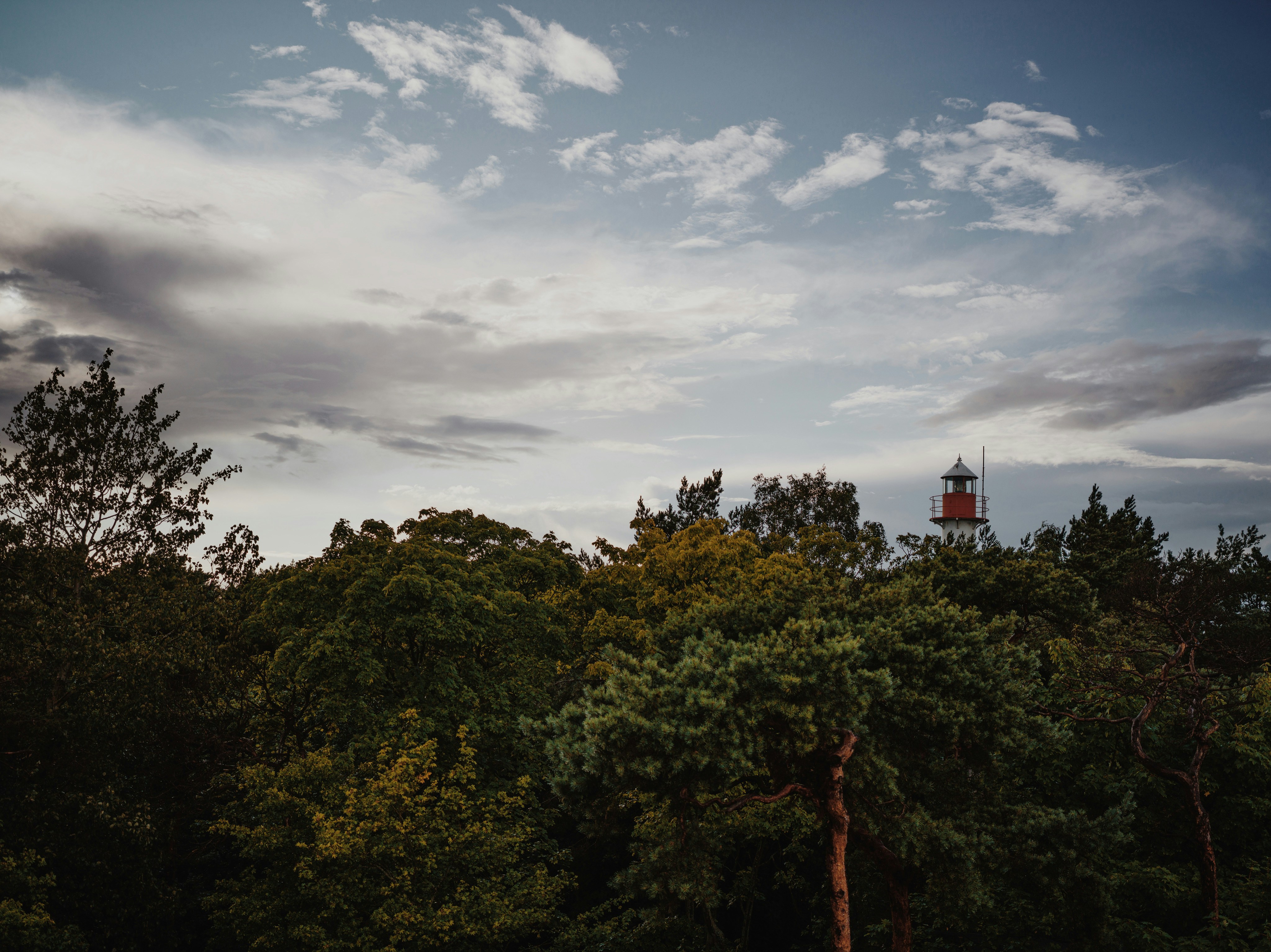 Photo by egorkomarov