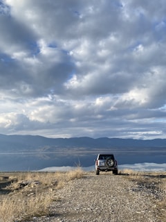 A rugged Troller 4x4 climbing a steep rocky trail under a dramatic sky