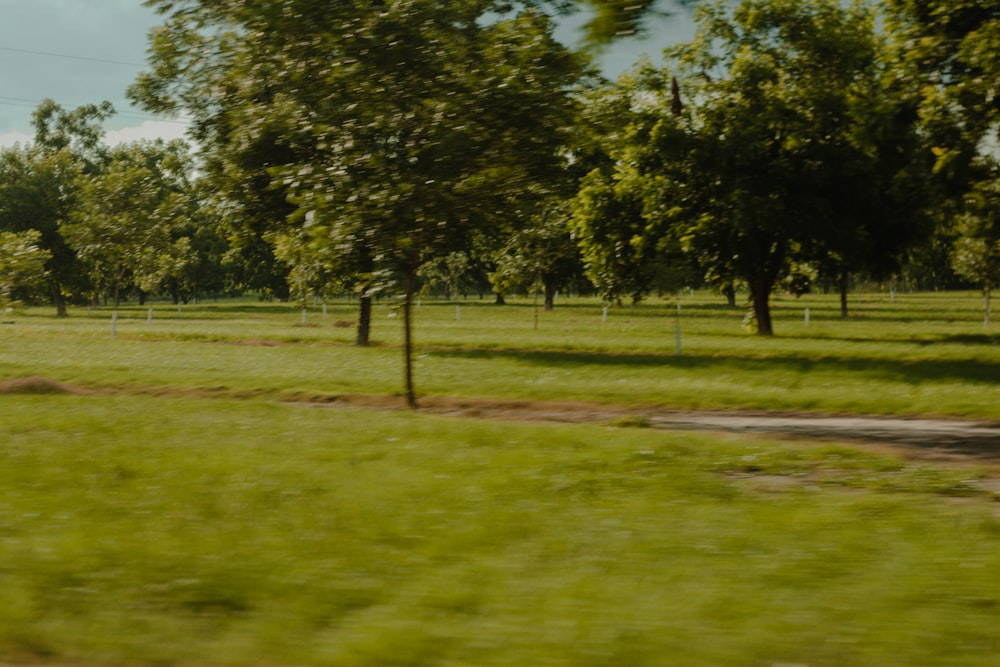 a man riding a horse through a lush green field