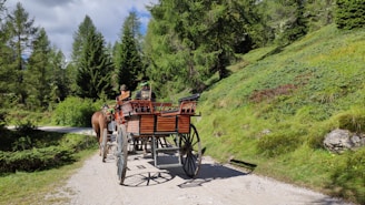 A rustic horse-drawn carriage parked on a sunlit country road surrounded by wildflowers.