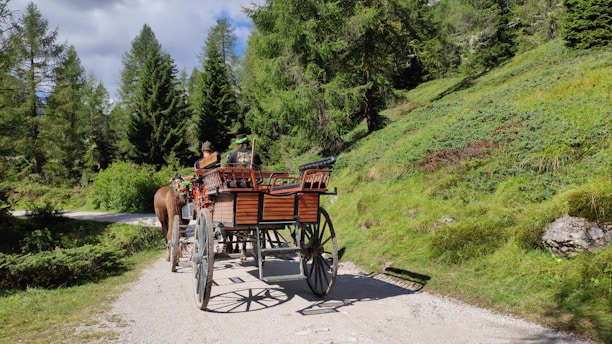 A rustic horse-drawn carriage parked on a sunlit country road surrounded by wildflowers.