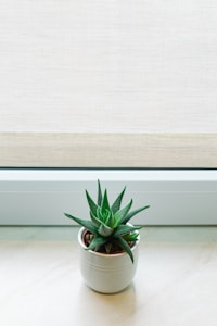 White Ceramic Planter