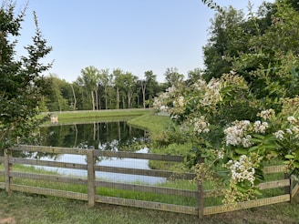 A tranquil pond surrounded by greenery and flowers.